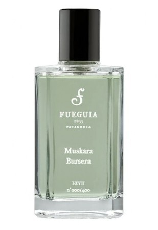 Fueguia 1833 Muskara Bursera