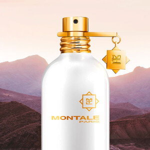 Бесконечность не предел: Montale анонсировали Infinity