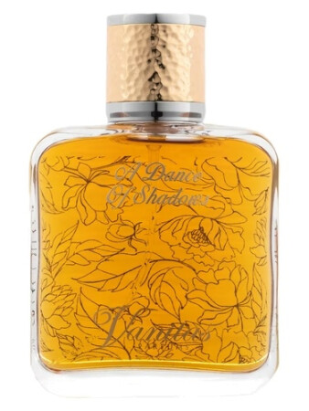 Vanitas Parfums A Dance Of Shadows