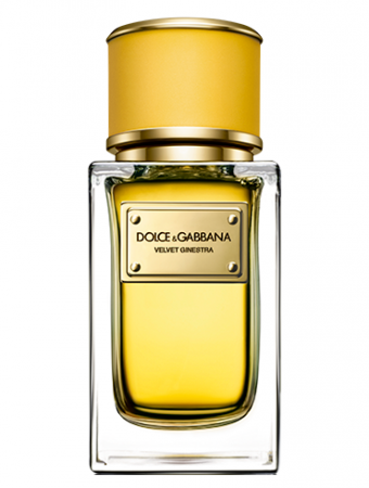 Dolce & Gabbana Velvet Ginestra