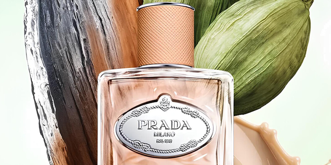 Prada анонсировали выход нового аромата Infusion De Santal Chai