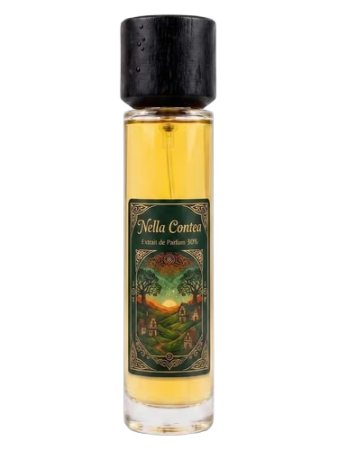 Atelier Aethel Nella Contea