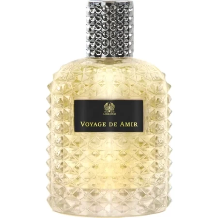 Amir Oud Voyage de Amir
