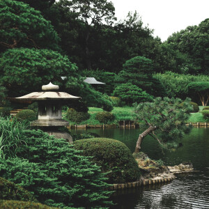 Прогулка по японскому саду: новый аромат Rose Shiso от Marie Jeanne