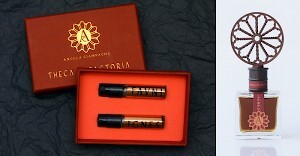 Angela Ciampagna IGNES: догорающий костер...