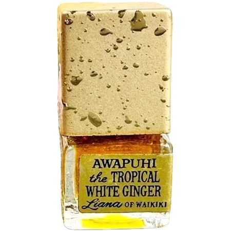 Liana of Waikiki Awapuhi the Tropical White Ginger