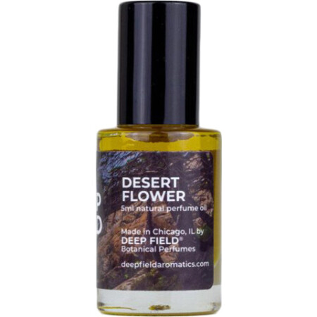 Deep Field Desert Flower