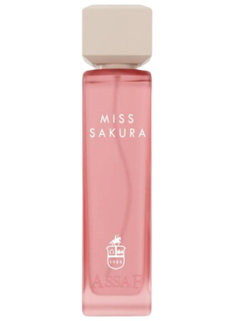 Assaf Miss Sakura