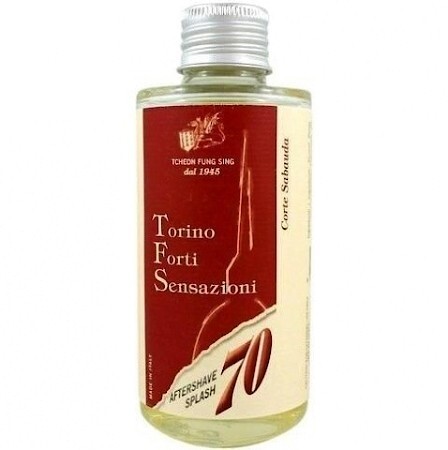 Tcheon Fung Sing Torino Forti Sensazioni - Corte Sabauda