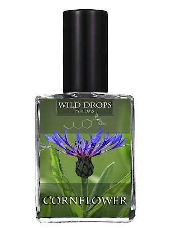 Wild Drops Parfums Cornflower
