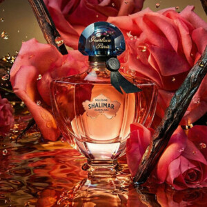 Ода розе: Guerlain выпускают Shalimar Millésime Rose