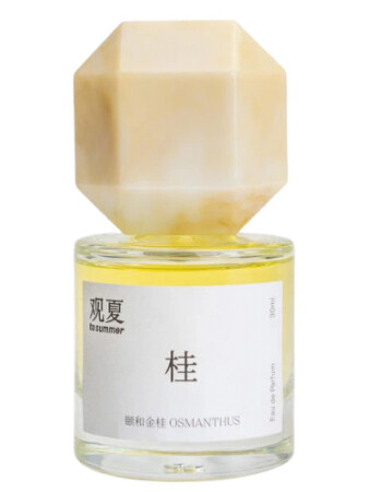 To Summer | 观夏 Osmanthus