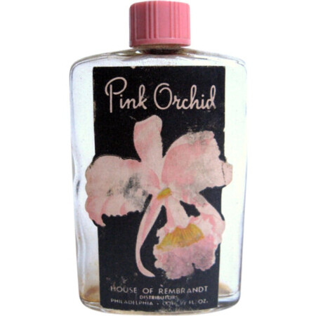 Rembrandt Pink Orchid
