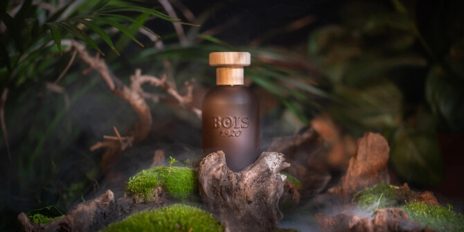 Гурманский и пряный: Bois 1920 представили Cannabis Dolce