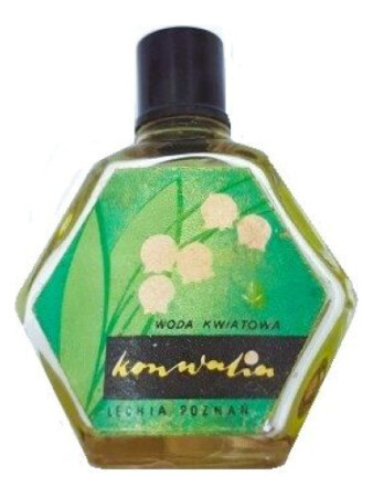 Pollena Lechia Konwalia