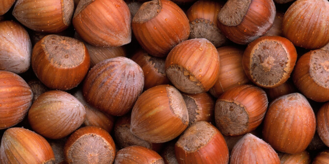 Антуан Ли составил для Les Indemodables экологичный аромат Patchouli Noisette