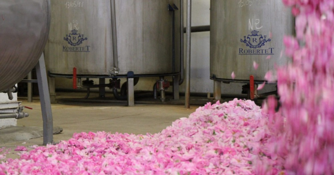 Givaudan планируют купить миноритарную долю в Robertet