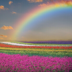 Радуга ароматов от Edgardio Chilini