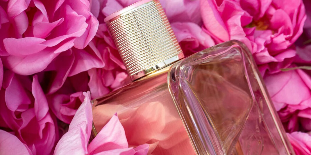 Veronique Gabai анонсировали выход нового аромата Rose Première 