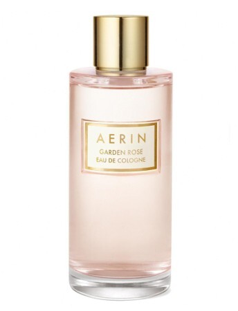 Aerin Garden Rose