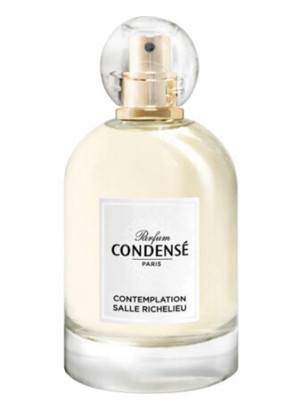 Condensé Paris Flânerie Place Dauphine