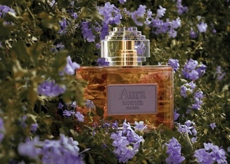 Loewe Aura Floral Aromo