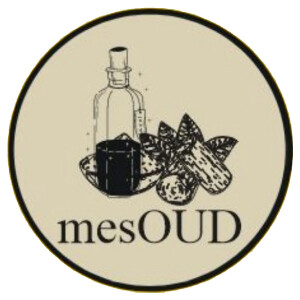 mesOUD