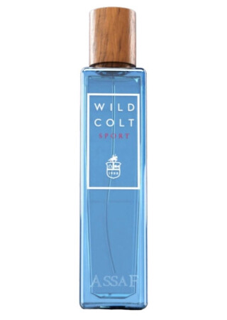 Assaf Wild Colt Sport