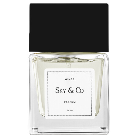 Sky & Co Wings