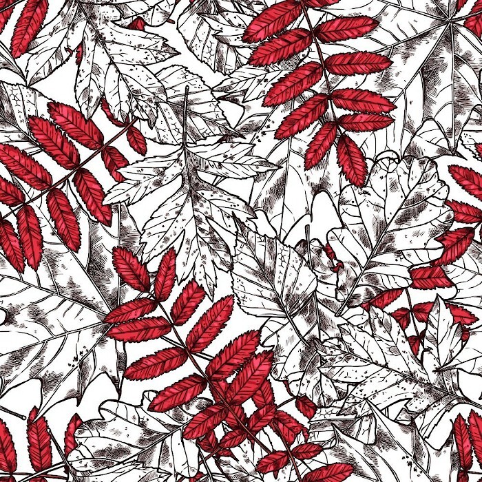 Октябрь на Aromo, встреча, новости и большой розыгрыш