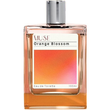 The Muse Living Orange Blossom