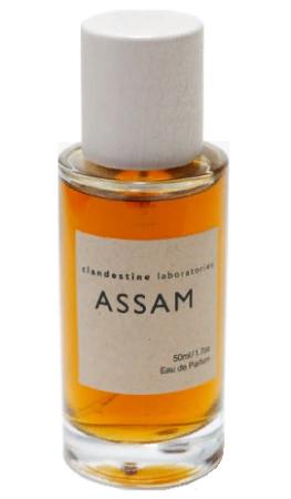 Clandestine Laboratories Assam