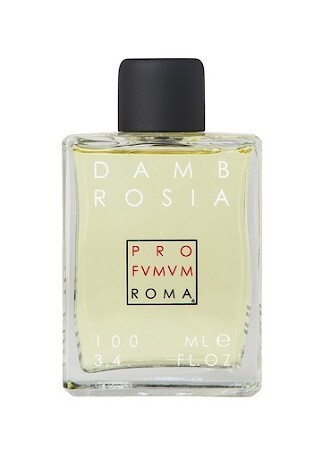 Pro Fvmvm Roma Dambrosia