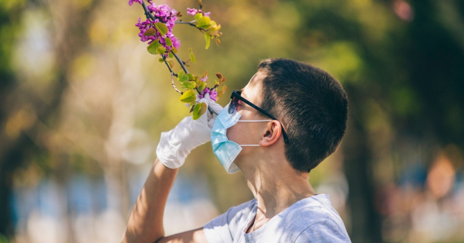 Почему может пропасть обоняние?