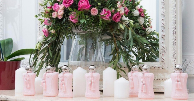 Чем обусловлена популярность Delina?