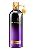 Montale Oud Pashmina