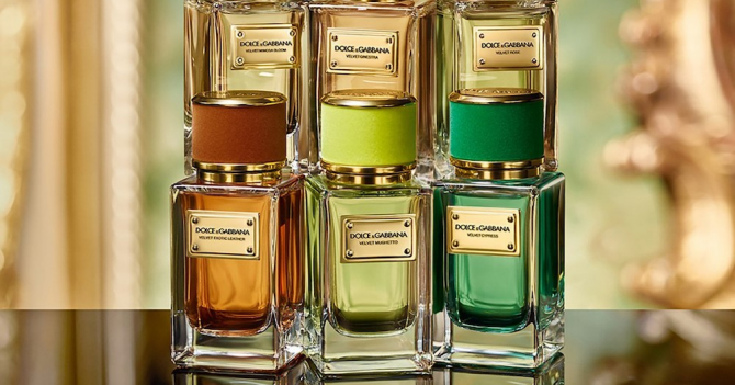 Velvet Mughetto Dolce & Gabbana — уже на сайте ЦУМа