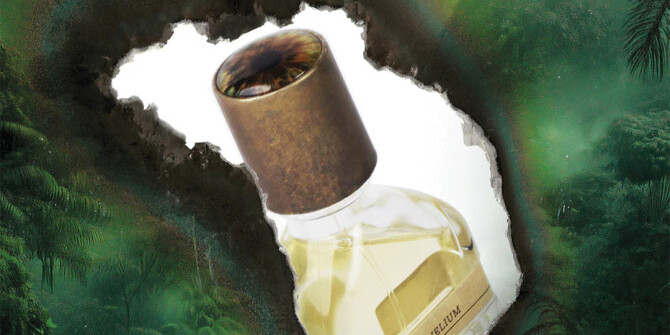 Orto Parisi приглашают исследовать энергию Вселенной с новым ароматом Risvelium