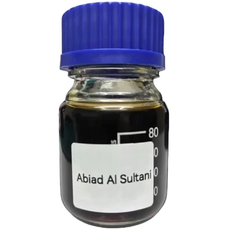 Ahom World / Zakir Gafur Abiad al Sultani -