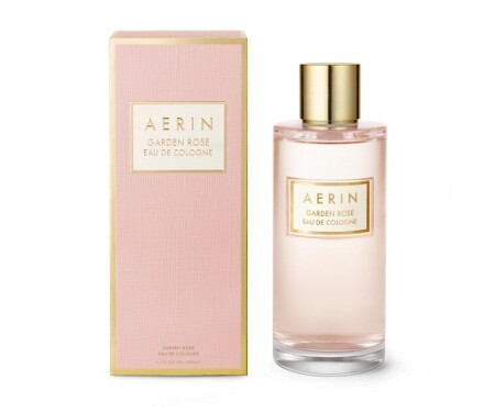 Aerin Garden Rose