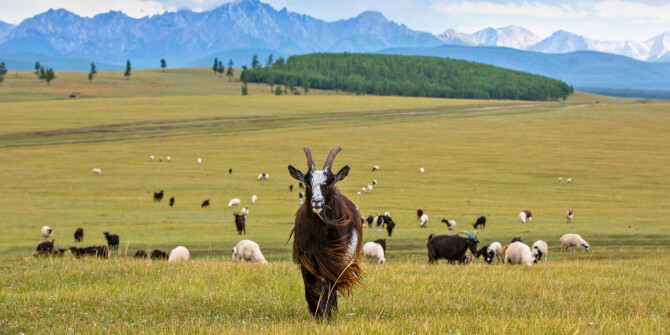 Dunhill показали мужской аромат Mongolian Cashmere