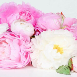 PANDORA Selective Вase 228. Флакон наполненный беспечностью, пионами и счастьем.