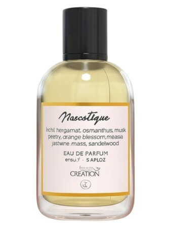 Amazing Creation Narcotique