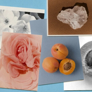 Odeon Rosebud – новая цветочная версия аромата Odeon от Memo