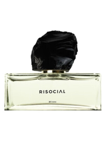 Risocial Ashes
