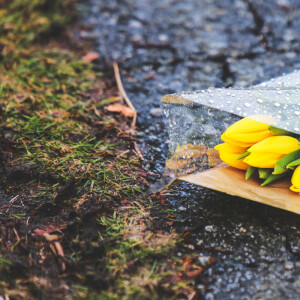 Чем действительно пахнет ранняя весна в городе