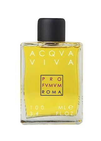 Pro Fvmvm Roma Acqva Viva