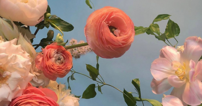 Рынок ароматических химикатов достигнет 8,4 млрд долларов к 2027 году