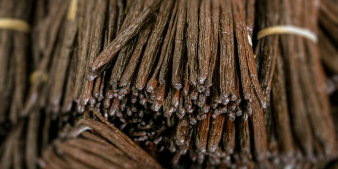 Angel Schlesser представили аромат Opulent Vanilla