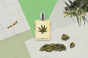 Где можно купить духи с запахом конопли и законно ли ими пользоваться?